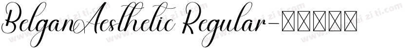 BelganAesthetic Regular字体转换